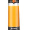 Blender NUTRIBULLET NBP003GO-MC - Image 3