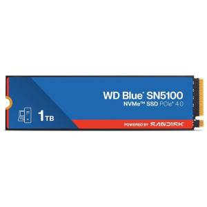 Disk SSD WD BLUE 1TB; WDS100T5B0E