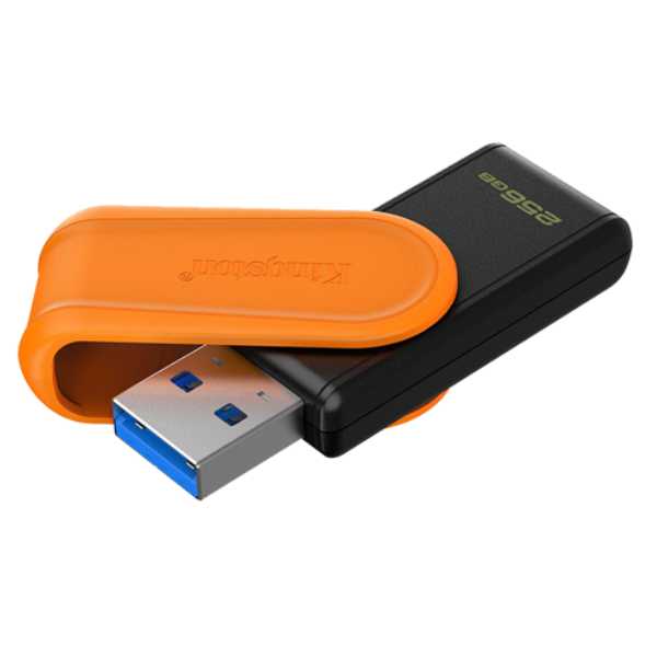 USB Stick Kingston 256GB DTXS
