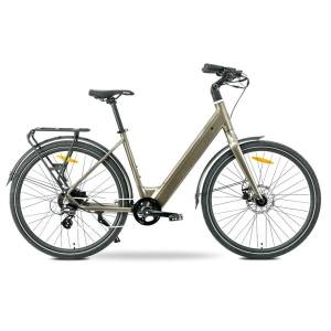 eBike MS ENERGY Zorya bronze_REG