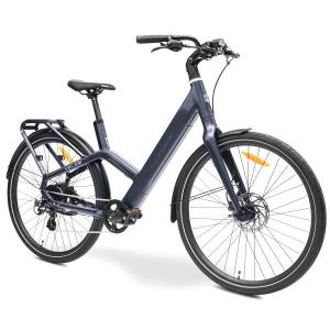 eBike MS ENERGY Veles grey_REG
